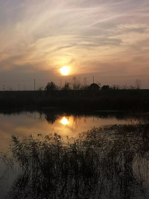 借水行舟是什么生肖，借水行舟比喻什么动物