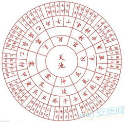 一甲子多少年用数学统计学怎么算，一甲子多少年考公务员会考吗