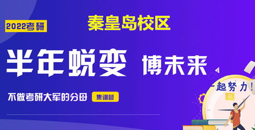 2015珠海斗一美术生的文化分数中考是多少