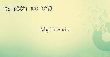 怎么回复好久不见的英文，好久不见的英文是什么