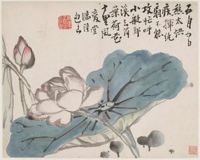 金农饲料怎么样