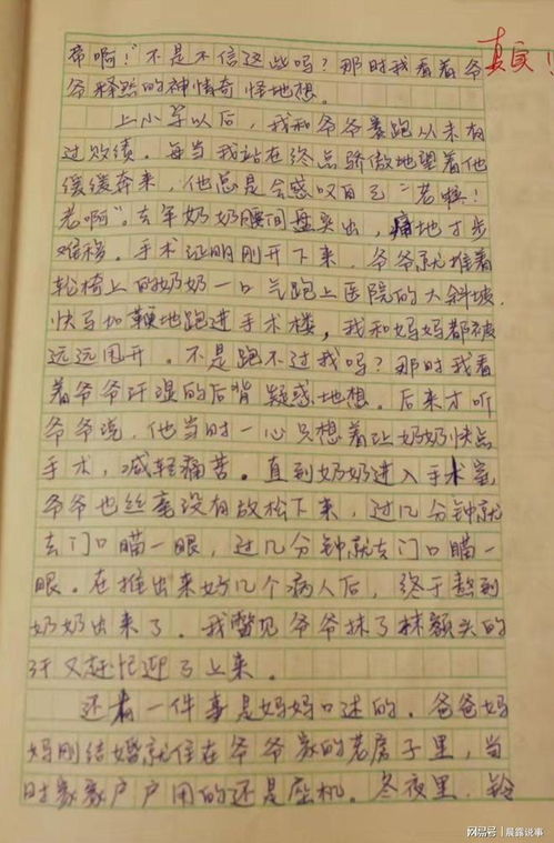 600字优秀作文摘抄，《那一刻,我长大了》
