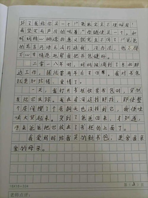 我的心爱之物作文300字