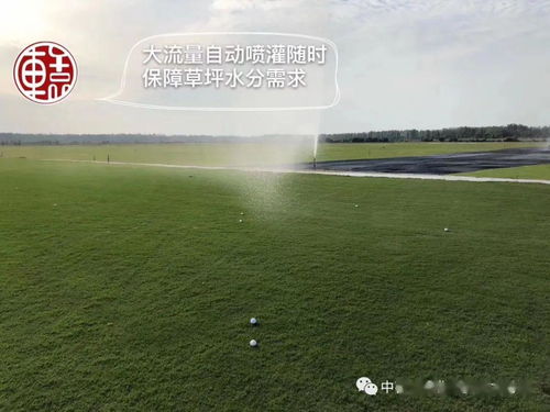 请简要分析客游的尾联表达了怎样的情感