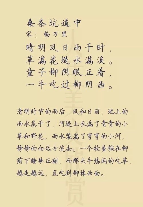 桑茶坑道中表达了作者怎样的感情，桑茶坑道中八首