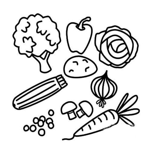 水果蔬菜简笔画图片大全大图，秋天有哪些水果蔬菜简笔画