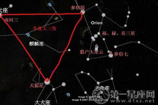 北斗星是大熊星座还是小熊星座?