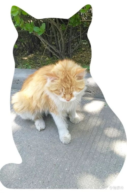 痎疟粤语怎么读?