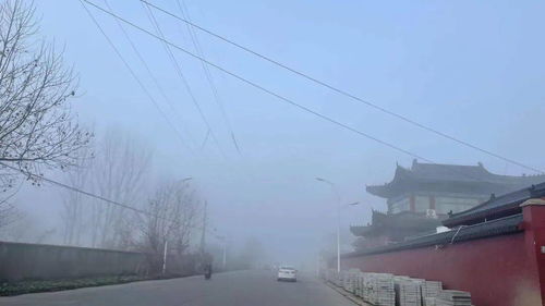 云梦天气预报40天准确吗，湖北云梦天气预报