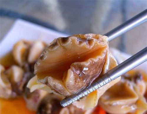 鲍螺的生物简介