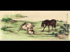 山顶上的秘密中《紫骝马》主要讲了什么