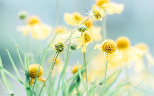 描写夏天的句子短句有哪些?