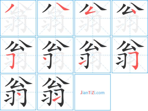 翁的组词和拼音是什么，翁的组词和拼音和部首