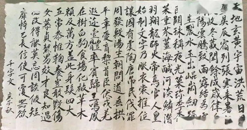 断鹤续凫的拼音，断鹤续凫反义词