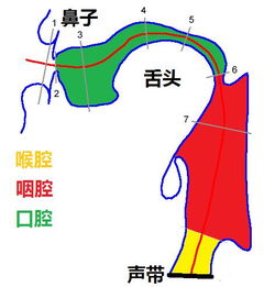 共鸣是什么意思啊