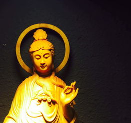 佛教中的普渡是什么意思?