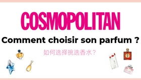 comment是什么意思?