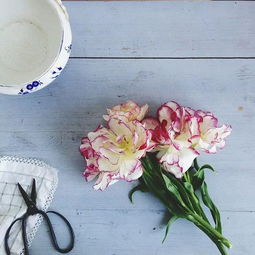 一石二鸟的意思和造句，一石二鸟的意思和出处