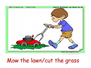 家务的英文作文，她会做家务的英文