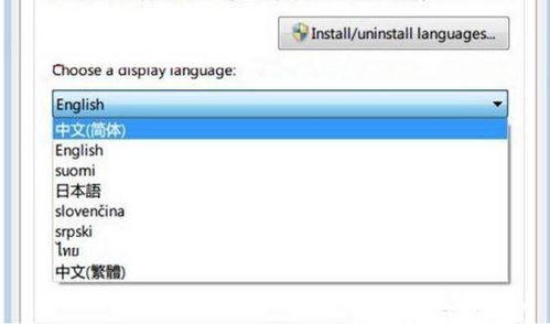 简体中文的英文名怎么写?