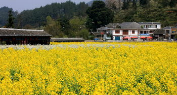 贵定天气预报30天查询，黔南贵定天气