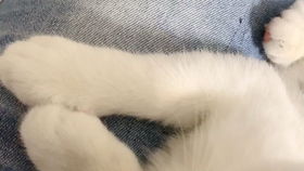 鼓捣的拼音，鼓捣的近义词