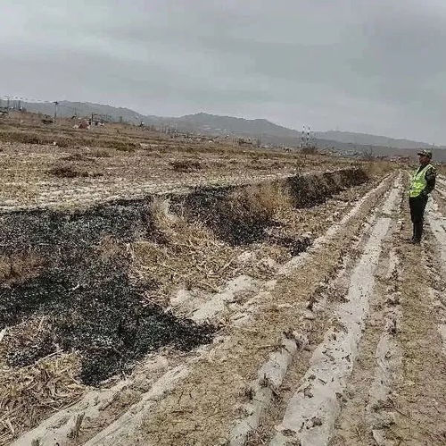 烧荒是什么意思，烧荒批注