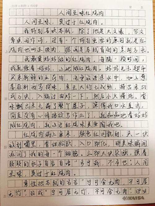 春节作文作文二年级，春节作文作文300