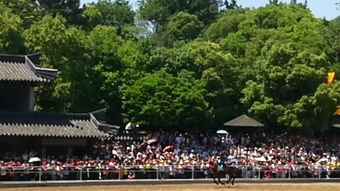 三英是指哪三个人，三英寸