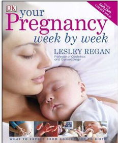 pregnancy是什么意思