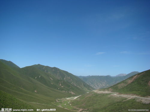 绵延子嗣，绵延万万里的脊梁,撑起家国傲骨出自