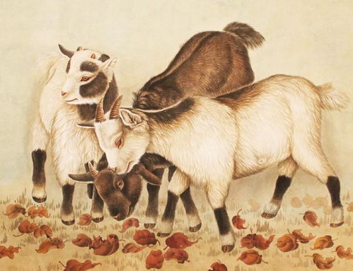 羊踏菜园是什么生肖呢，羊踏破菜园