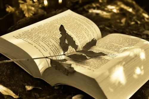 急得什么怎么填词语?