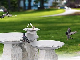 watering 翻译，watering the plants怎么读