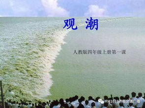 四年级观潮课文原文