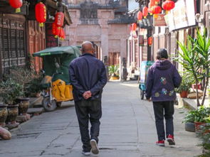 葭字怎么读，葭菼