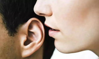 聒噪，一个耳一个舌念什么字