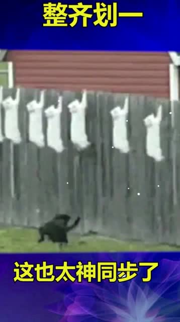 队列整齐划一的意思，整齐划一的意思是什么生肖