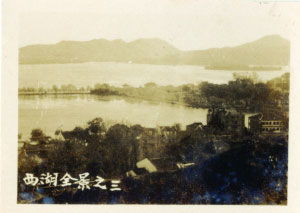 《再论雷峰塔的倒掉》全文