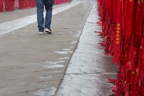 门前冷落鞍马稀对应的诗句，门前冷落鞍马稀冷落古今异义