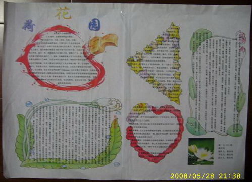 描写荷花古诗的手抄报 古诗的手抄报