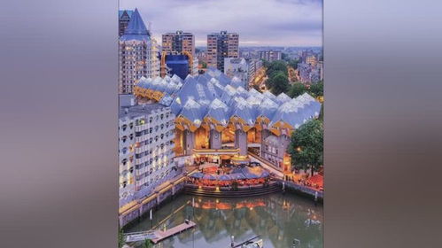 鹿特丹的解释鹿特丹的解释是什么