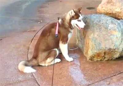 惊疑的意思 词语，惊恐的意思是什么