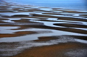 退潮赶海时间表，退潮涨潮每天在什么时间