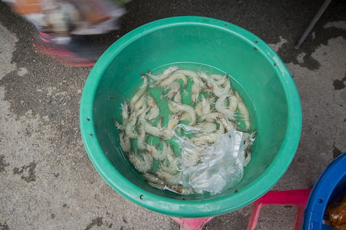 我有个不认识的字啊 三点水加上拖地的”拖”的右半部分念什么啊 帮帮