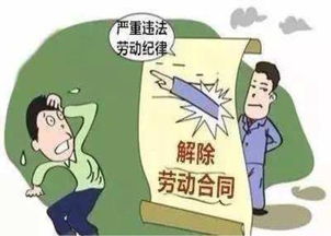 三违行为指的是什么行为，安全生产中的三违指的是