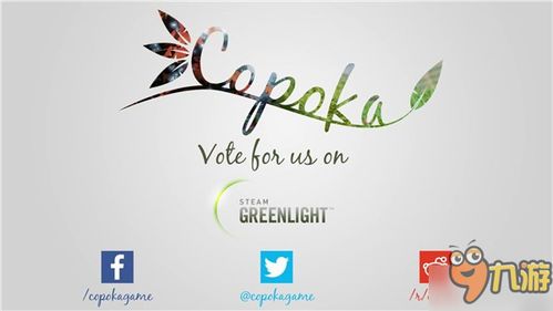 inaccurate造句，Inaccurate website description