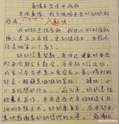 初中满分作文600字【精选5篇】