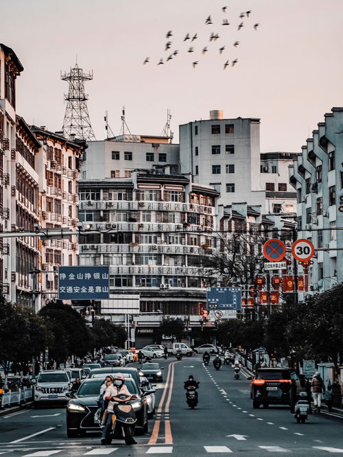 中间多少行人泪全诗，中间多少行人泪行人指什么人