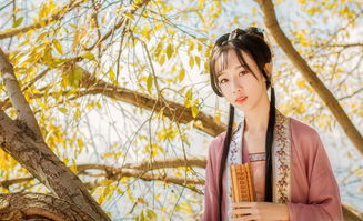 雨雪霏霏中霏霏是什么意思 雨雪霏霏中霏霏的意思